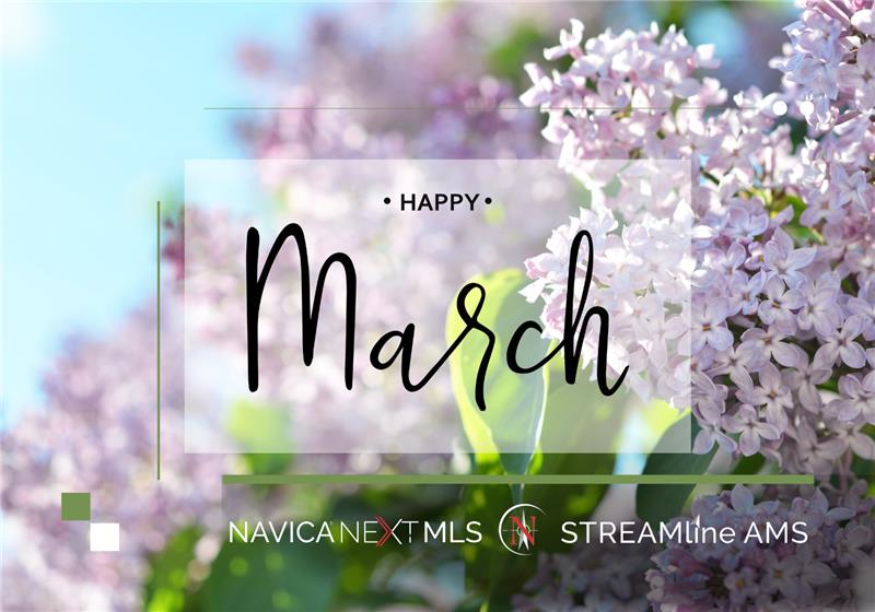 Navica Web Solutions